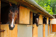free Hawkhope stable construction quotes